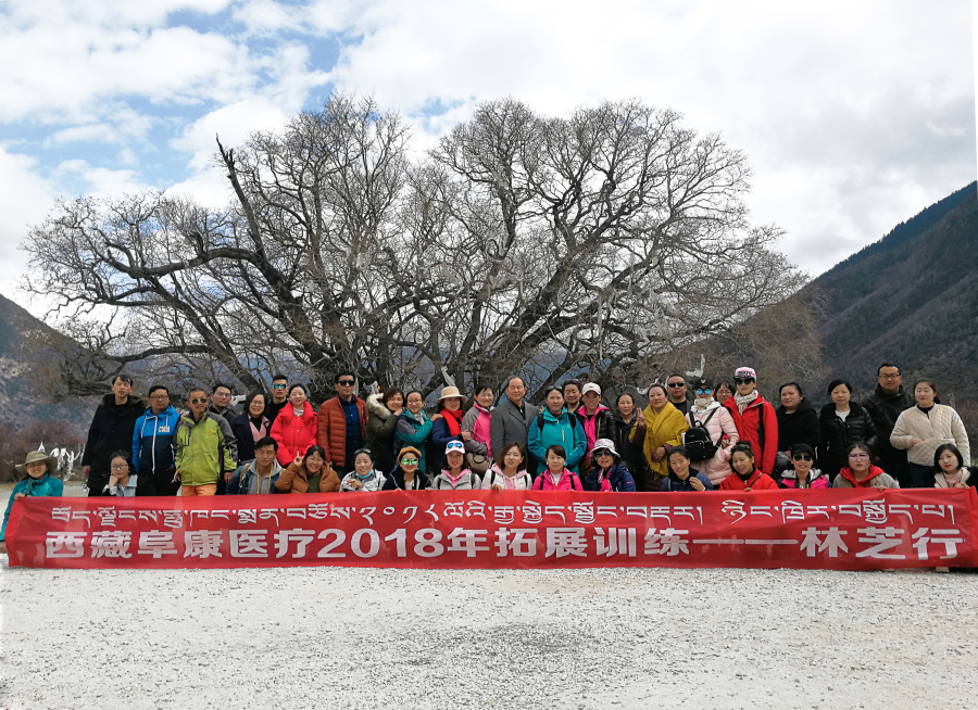 西藏阜康醫(yī)療2018年拓展訓(xùn)練——增強(qiáng)團(tuán)隊(duì)凝聚力、提升團(tuán)隊(duì)協(xié)作能力，更好地為患者服務(wù)