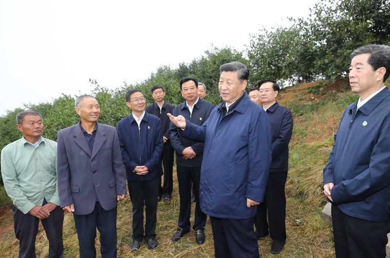 　　9月16日至18日，中共中央總書記、國家主席、中央軍委主席習(xí)近平在河南考察。這是17日上午，習(xí)近平來到信陽市光山縣槐店鄉(xiāng)司馬光油茶園，同正在勞作的村民和管理人員交流。 新華社記者 鞠鵬 攝